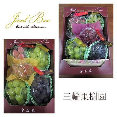 ふるさと納税 赤磐市 ジュエルボックス 皮ごと食べられる 葡萄 4〜5品種 詰合せ 2026年[NO5765-0868]の画像