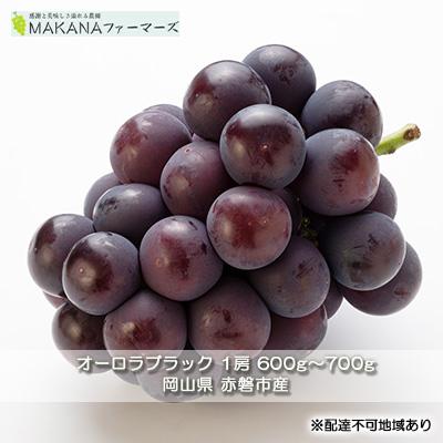 ふるさと納税 赤磐市 オーロラブラック 1房 600g〜700g ぶどう 葡萄 2026年[NO5765-0848]