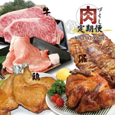 ふるさと納税 四万十市 [6回定期便]牛・豚・鶏が月替わりで届く!肉づくし定期便 25