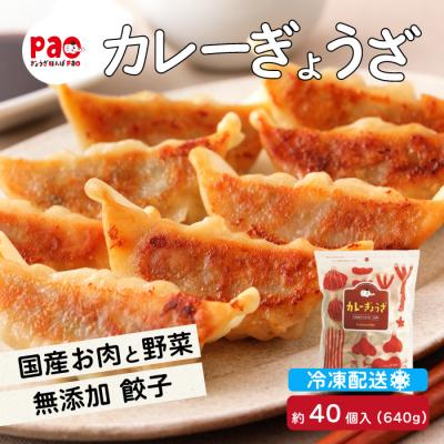 ふるさと納税 三原市 paoの無添加餃子「カレーぎょうざ」640g(約40個) [058-006]