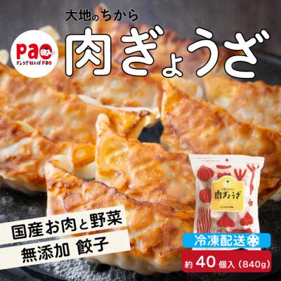 ふるさと納税 三原市 paoの無添加餃子「大地のちから 肉ぎょうざ」840g(約40個) [058-008]
