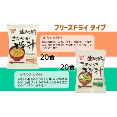 ふるさと納税 臼杵市 【フリーズドライ&生みそタイプ】簡単・便利!3種類のインスタントみそ汁食べ比べセット(58食分) |  | 01