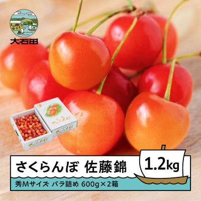 ふるさと納税 大石田町 さくらんぼ 佐藤錦 秀Mサイズ バラ詰め 1.2kg(600g×2箱) 令和9年産 山形県産 | 