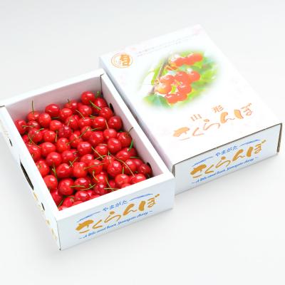 ふるさと納税 大石田町 さくらんぼ 佐藤錦 秀Mサイズ バラ詰め 1.2kg(600g×2箱) 令和9年産 山形県産 |  | 01