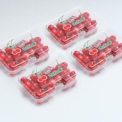 ふるさと納税 大石田町 さくらんぼ 佐藤錦 秀Mサイズ 720g (180g×4パック) フードパック 令和9年産 山形県産 |  | 01