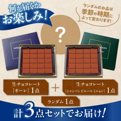 ふるさと納税 当別町 ROYCE'生チョコレート入りバラエティセット_tb01-006 |  | 02