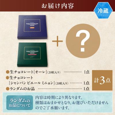 ふるさと納税 当別町 ROYCE'生チョコレート入りバラエティセット_tb01-006 |  | 03