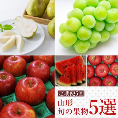 ふるさと納税 長井市 [2026年発送]果物定期便5回(すいか/シャインマスカット/りんご2種/洋梨)_H147(R8)