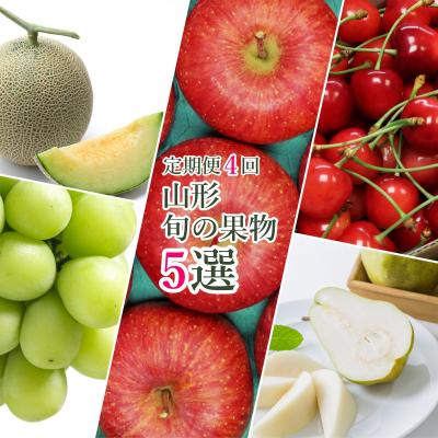 ふるさと納税 長井市 [2026年発送]果物定期便4回(さくらんぼメロンシャインマスカットりんご洋梨)_H149(R8)