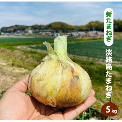 ふるさと納税 淡路市 [新たまねぎ]淡路島たまねぎ(5キロ)[発送時期:5月頃]