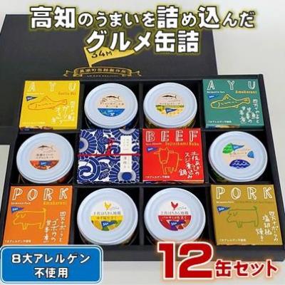 ふるさと納税 黒潮町 高知 のうまいを詰め込んだ グルメ 缶詰 12缶 セット [1300]