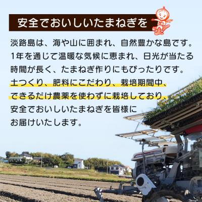 ふるさと納税 淡路市 【新たまねぎ】淡路島たまねぎ 歩-AYUMU- 5kg【発送時期3月〜5月頃】 ak04030の画像