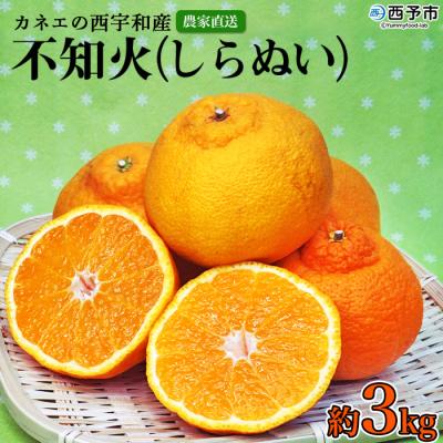 ふるさと納税 西予市 <カネエの西宇和産 不知火 (しらぬい) 3kg> 柑橘 フルーツ 果物 農家直送 西予