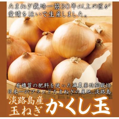 ふるさと納税 淡路市 今井ファームの淡路島たまねぎ「かくし玉」 5kg　ai01869 |  | 01