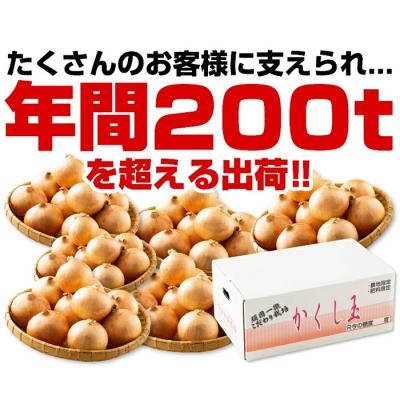 ふるさと納税 淡路市 今井ファームの淡路島たまねぎ「かくし玉」 5kg　ai01869 |  | 02
