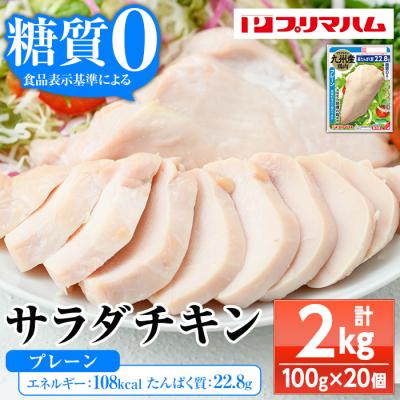 ふるさと納税 いちき串木野市 嬉しい糖質0!サラダチキン&lt;プレーン&gt;(100g×20個合計2kg!)