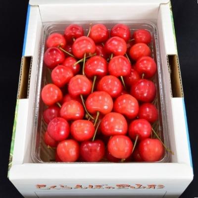 ふるさと納税 上山市 さくらんぼ(佐藤錦)500g