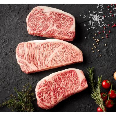 ふるさと納税 湯梨浜町 ◆鳥取和牛オレイン55◆サーロインブロック1.6kg(63K.)