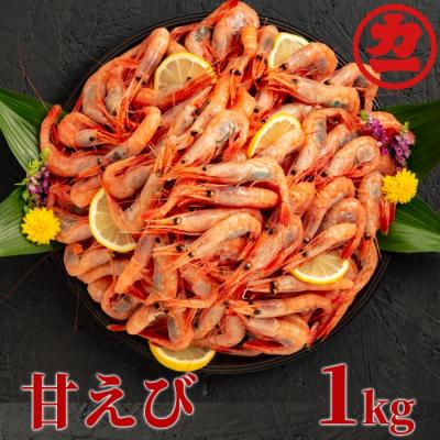 ふるさと納税 紋別市 甘えび1kg | 