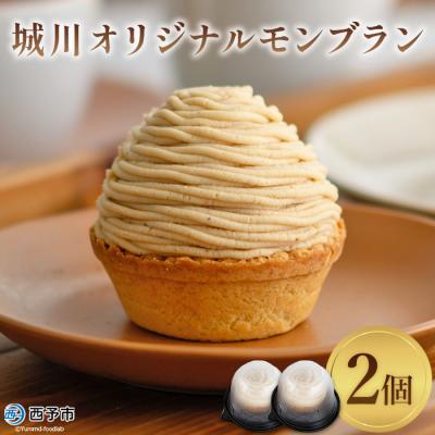 ふるさと納税 西予市 &lt;城川オリジナルモンブラン(2個入)&gt; スイーツ ケーキ マロン 和栗 国産 愛媛