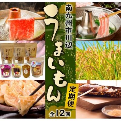 ふるさと納税 南九州市 [全12回]南九州市川辺うまいもん定期便
