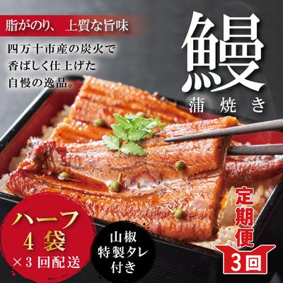 ふるさと納税 四万十市 [3回定期便]&lt;四万十食品&gt;うなぎ蒲焼 ハーフ4袋/BC[連続3回お届け]R6-632