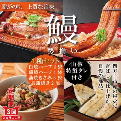 ふるさと納税 四万十市 [3回定期便]&lt;四万十食品&gt;長尾2尾+ハーフ4袋+きざみ3袋+白焼ハーフ2袋[2ヵ月に1回]R6
