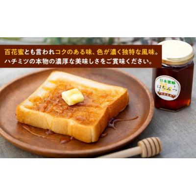 ふるさと納税 栃木市 日本蜜蜂のハチミツ100%!はちみつ(1本) 高級 自然