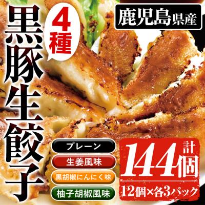 ふるさと納税 いちき串木野市 鹿児島黒豚生餃子4種詰合せセット 合計144個(4種×12個×3P)国産野菜使用! | 