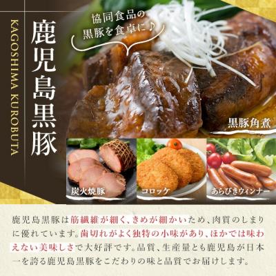 ふるさと納税 いちき串木野市 鹿児島黒豚生餃子4種詰合せセット 合計144個(4種×12個×3P)国産野菜使用! |  | 01