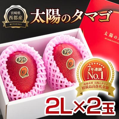 ふるさと納税 西都市 [太陽のタマゴ2玉]西都市産完熟マンゴー『先行受付』[2206]