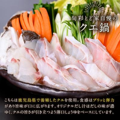 ふるさと納税 いちき串木野市 クエ鍋セット(2〜3人前)　※秋から春頃のみ配送 |  | 01