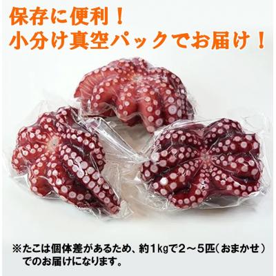 ふるさと納税 普代村 北三陸産 蒸し真タコ丸ごと約1kg (2匹〜5匹) たこ刺身 たこ焼き |  | 01
