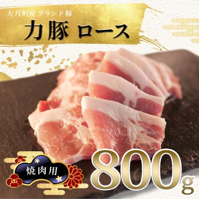 ふるさと納税 大月町 [国産]力豚 豚肉 ロース 焼き肉用800g 小分け ブランド豚 焼肉 BBQ 真空 ポーク 冷凍
