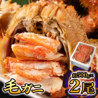 ふるさと納税 猿払村 毛ガニ(約500g)×2尾【0104702】 | 