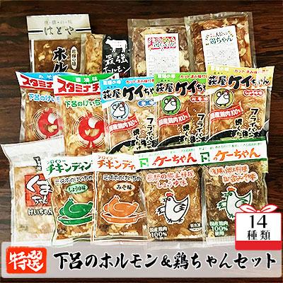 ふるさと納税 下呂市 やましげ特撰「下呂のホルモン・鶏ちゃんセット」14種類 (14袋) 食べ比べ[83-1]