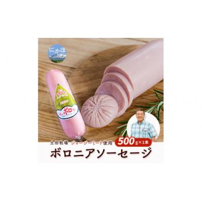 ふるさと納税 にかほ市 ボロニアソーセージ 500g×1本(ジャージー ミート使用)