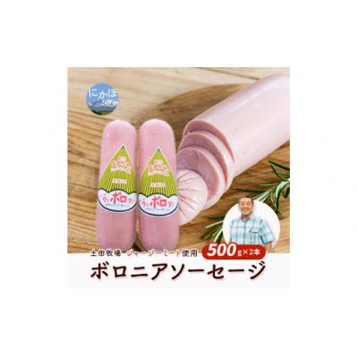 ふるさと納税 にかほ市 ジャージーミート使用 ボロニアソーセージ 500g×2