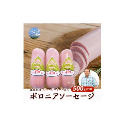 ふるさと納税 にかほ市 生食可 ジャージーミート使用 ボロニアソーセージ500g×3