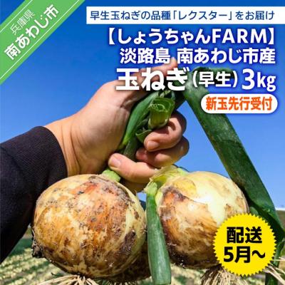 ふるさと納税 南あわじ市 [新玉先行受付][しょうちゃんFARM]淡路島 南あわじ市産玉ねぎ3kg 早生 ◆配送5月〜