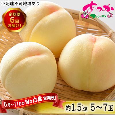 ふるさと納税 赤磐市 桃 定期便 6月〜11月 の旬な 白桃 定期便 1.5kg 5〜7玉×6回[NO5765-0880]