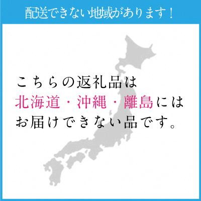 ふるさと納税 瀬戸内市 【2026年先行受付】シャインマスカット晴王2房(約1.1kg)岡山県産[No.5735-1306]の画像