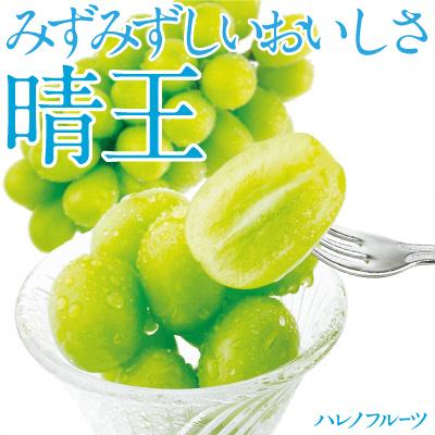 ふるさと納税 瀬戸内市 【2026年先行受付】シャインマスカット晴王2房(約1.1kg)岡山県産[No.5735-1306]の画像