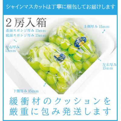 ふるさと納税 瀬戸内市 【2026年先行受付】シャインマスカット晴王2房(約1.1kg)岡山県産[No.5735-1306]の画像