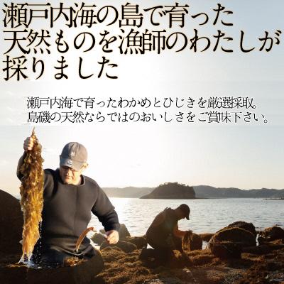 ふるさと納税 瀬戸内市 瀬戸内で採れた島磯香るわかめ22g×1袋とひじき28g×2袋 セット[No.5735-1285] |  | 02