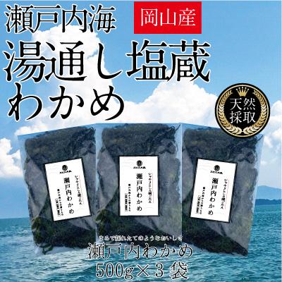 ふるさと納税 瀬戸内市 湯通し塩蔵 瀬戸内 わかめ 500g×3袋【岡山