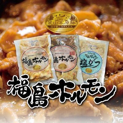 ふるさと納税 福島市 福島ホルモン3点セット(醤油、味噌、塩がつ)[各1パック、計3パック入] No.1250