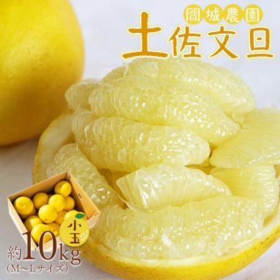 ふるさと納税 香南市 [先行受付]間城農園 土佐文旦 小玉10kg (М〜Lサイズ) ms-0081