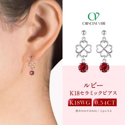 ふるさと納税 京都市 [京セラ]クレサンベール[ルビー・天然ダイヤモンド]ピアス[0.54ct](ジュエリー)