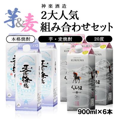 ふるさと納税 西都市 神楽酒造 2大人気組み合わせセット「くろうま」「天孫降臨」[2212]